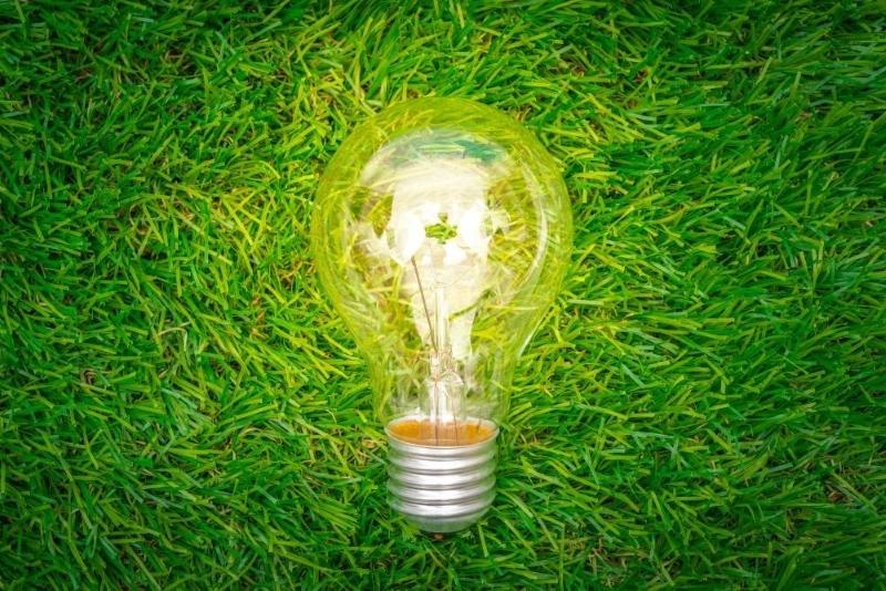 GreenIT live-data24 gmbh GreenIT, GreenTech