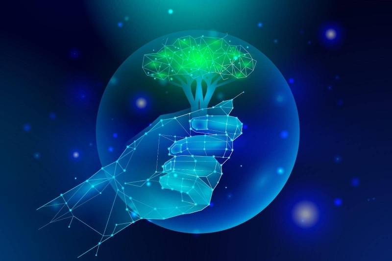 GreenIT live-data24 gmbh GreenIT, GreenTech